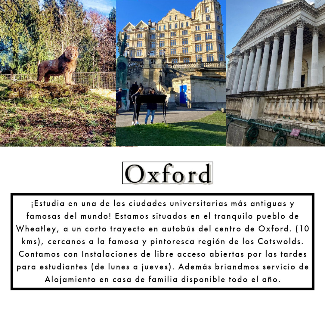 OXFORD (4)